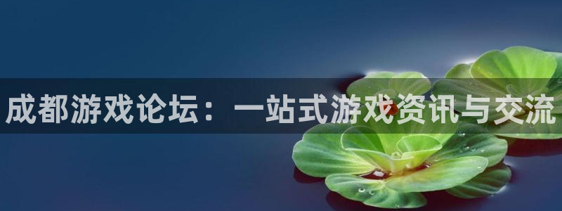 杜邦娱乐注册网站：成都游戏论坛：一站式游戏资讯与交流