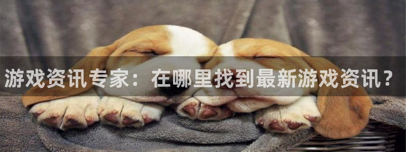 杜邦娱乐注册网站：游戏资讯专家：在哪里找到最新游戏资讯？