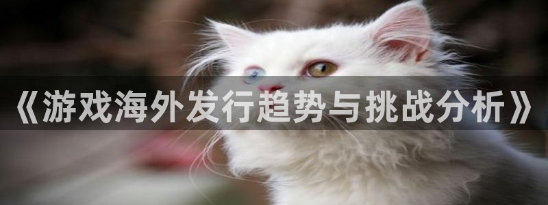 杜邦娱乐注册服务条款：《游戏海外发行趋势与挑战分析》