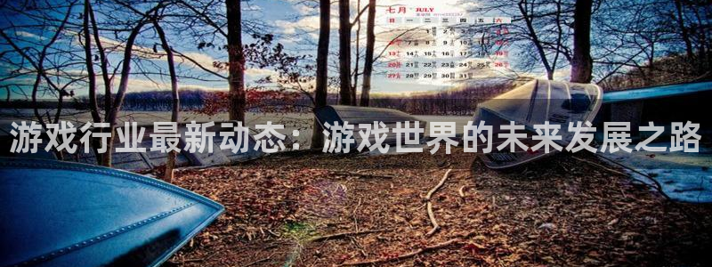 杜邦娱乐注册账号：游戏行业最新动态：游戏世界的未来发展之路