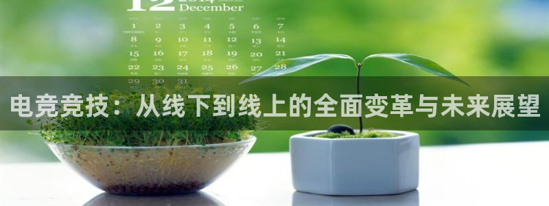 杜邦娱乐的意思：电竞竞技：从线下到线上的全面变革与未来展望