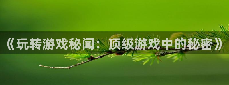 杜邦娱乐的意思:《玩转游戏秘闻:顶级游戏中的秘密》