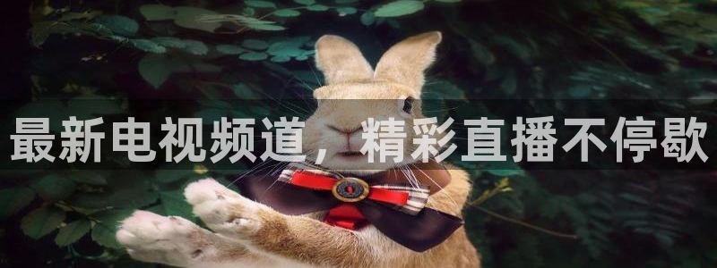 857直播nba在线直播